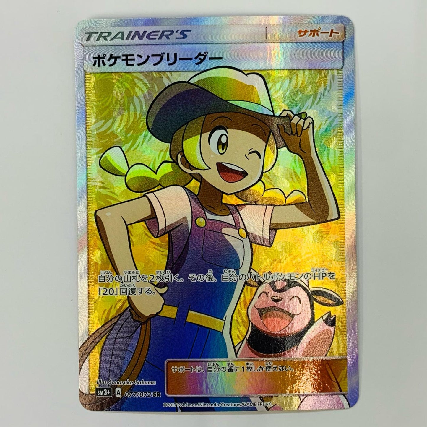 Pokémon Breeder SR 077/072