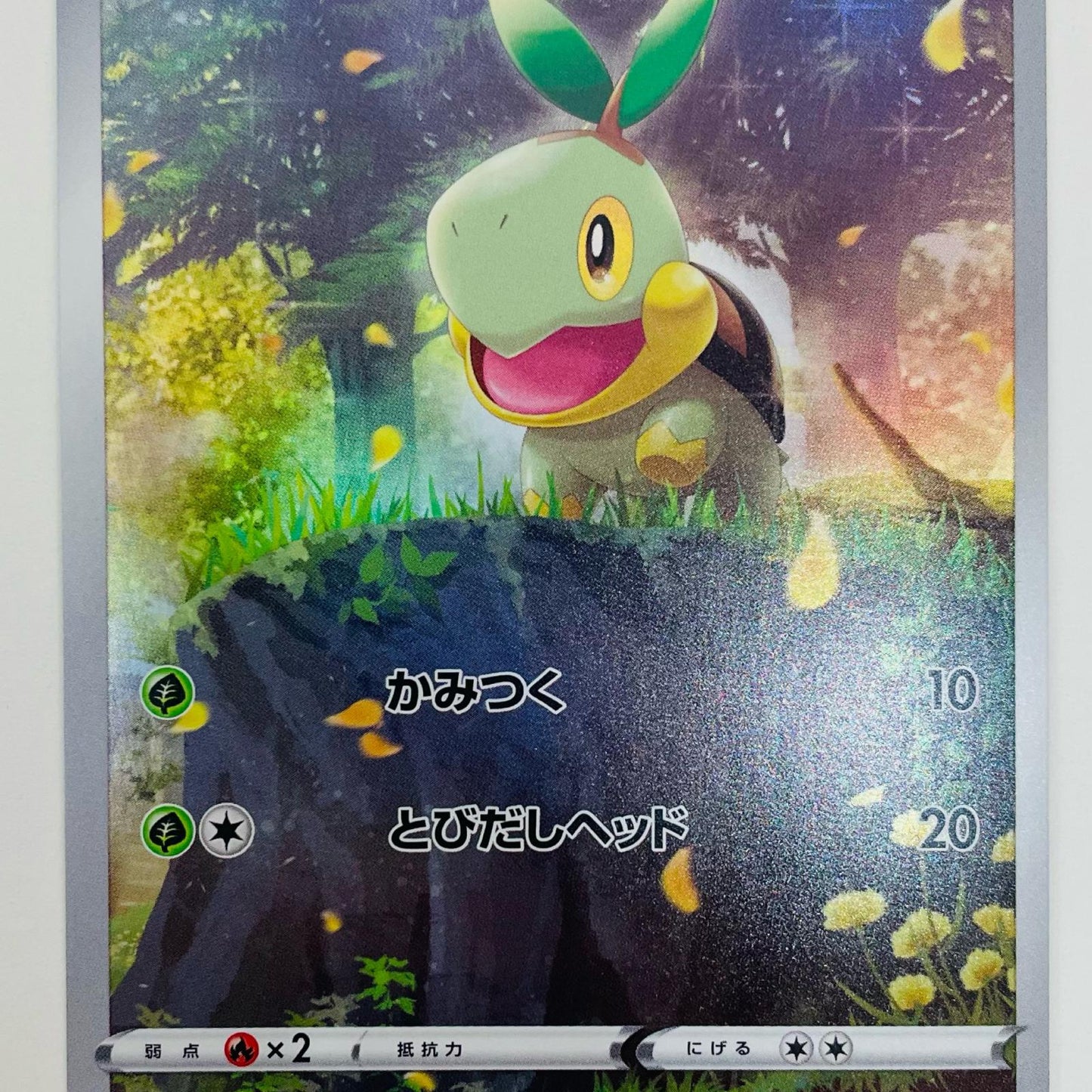 【中古】 ナエトル AR S12a-206