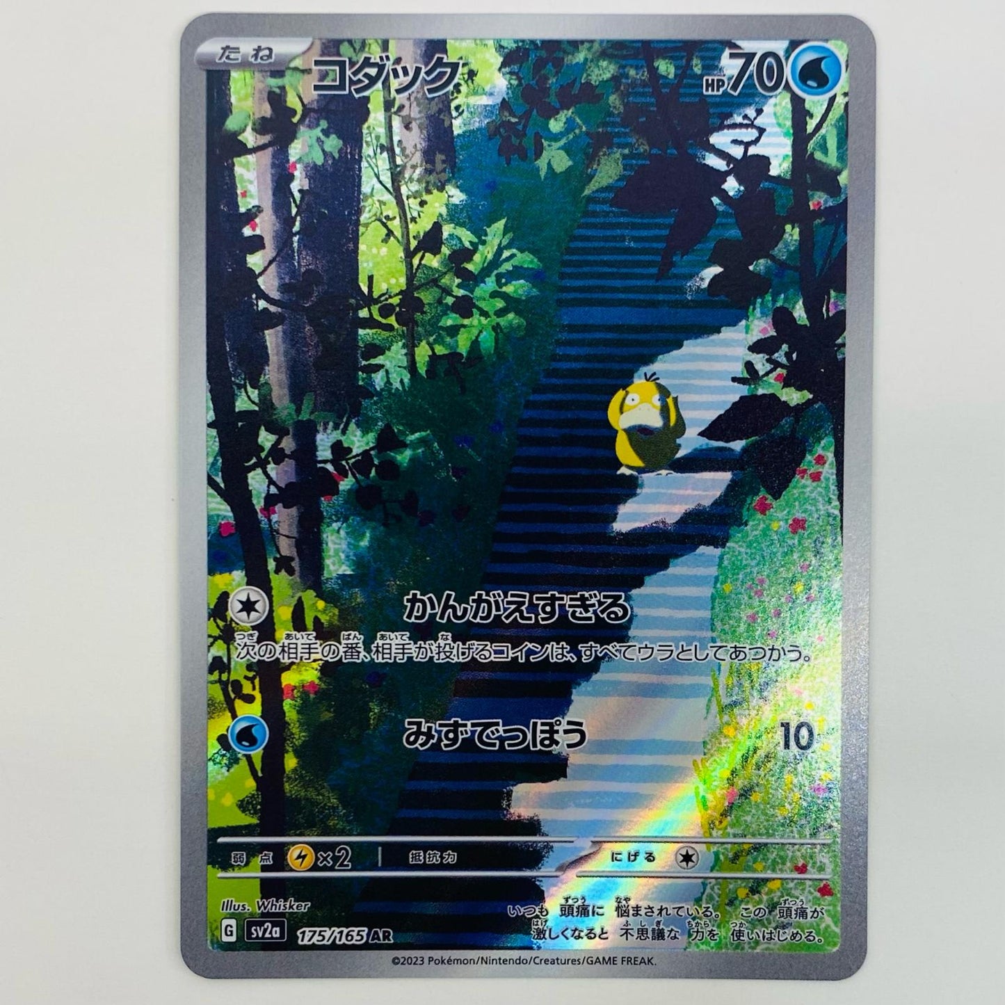 【中古】 コダック AR SV2a-175