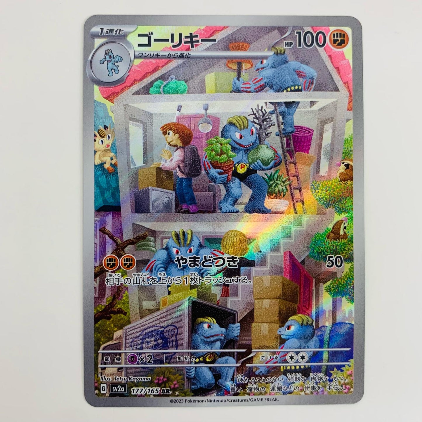 【中古】 ゴーリキー AR SV2a-177