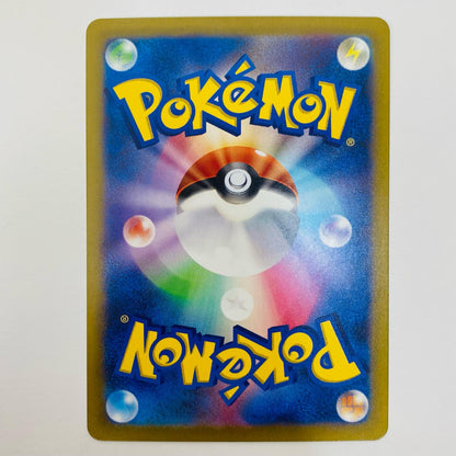 【中古】 ゼニガメ - CLK-001