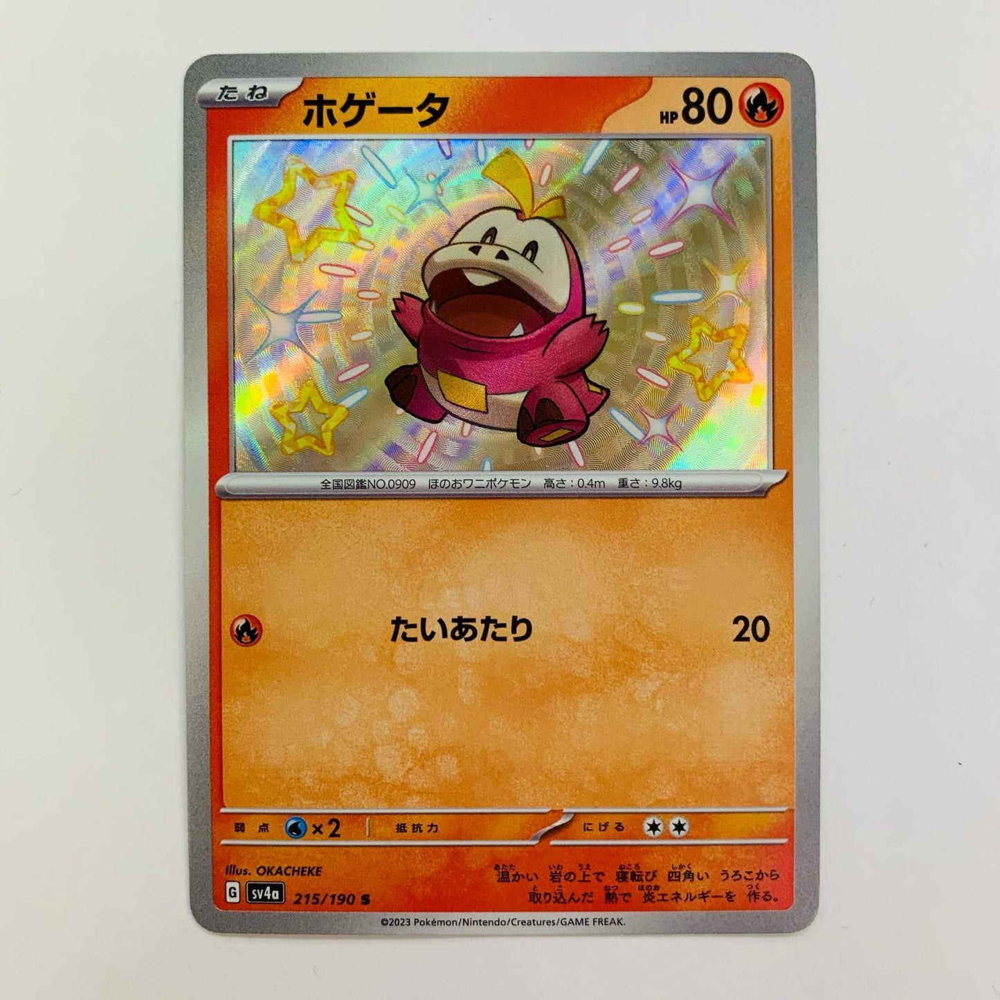 ホゲータ S 215/190