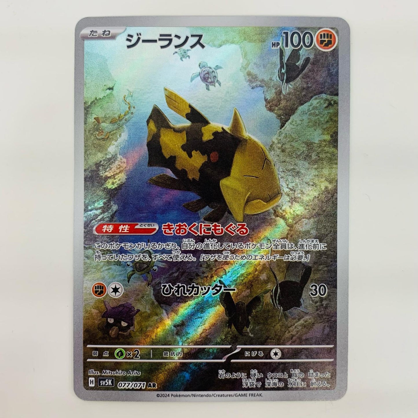 【中古】 ジーランス AR SV5K-077