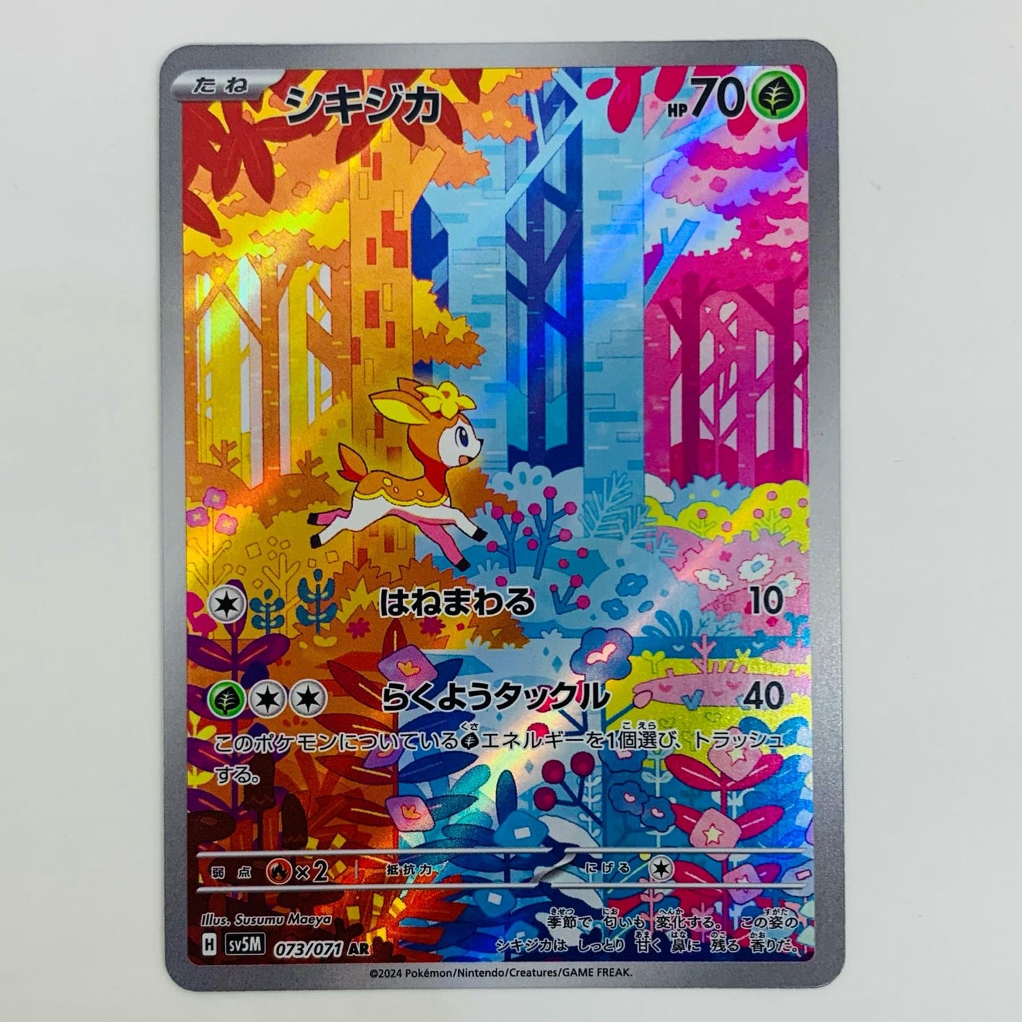 【中古】 シキジカ AR SV5M-073