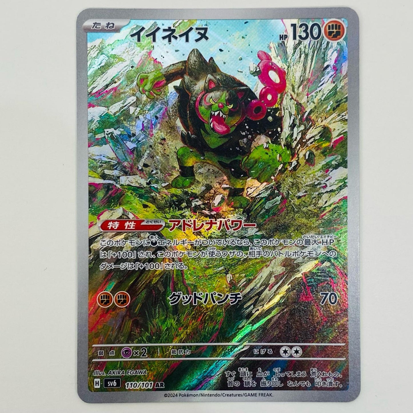 【中古】 イイネイヌ AR SV6-110