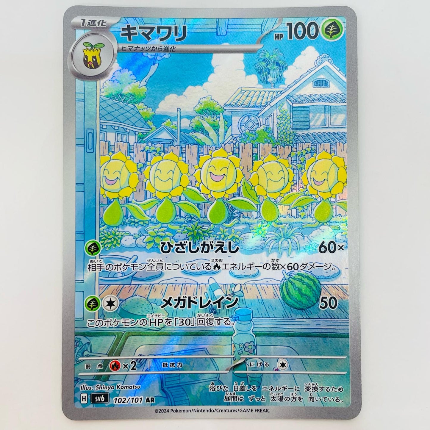 キマワリ AR 102/101