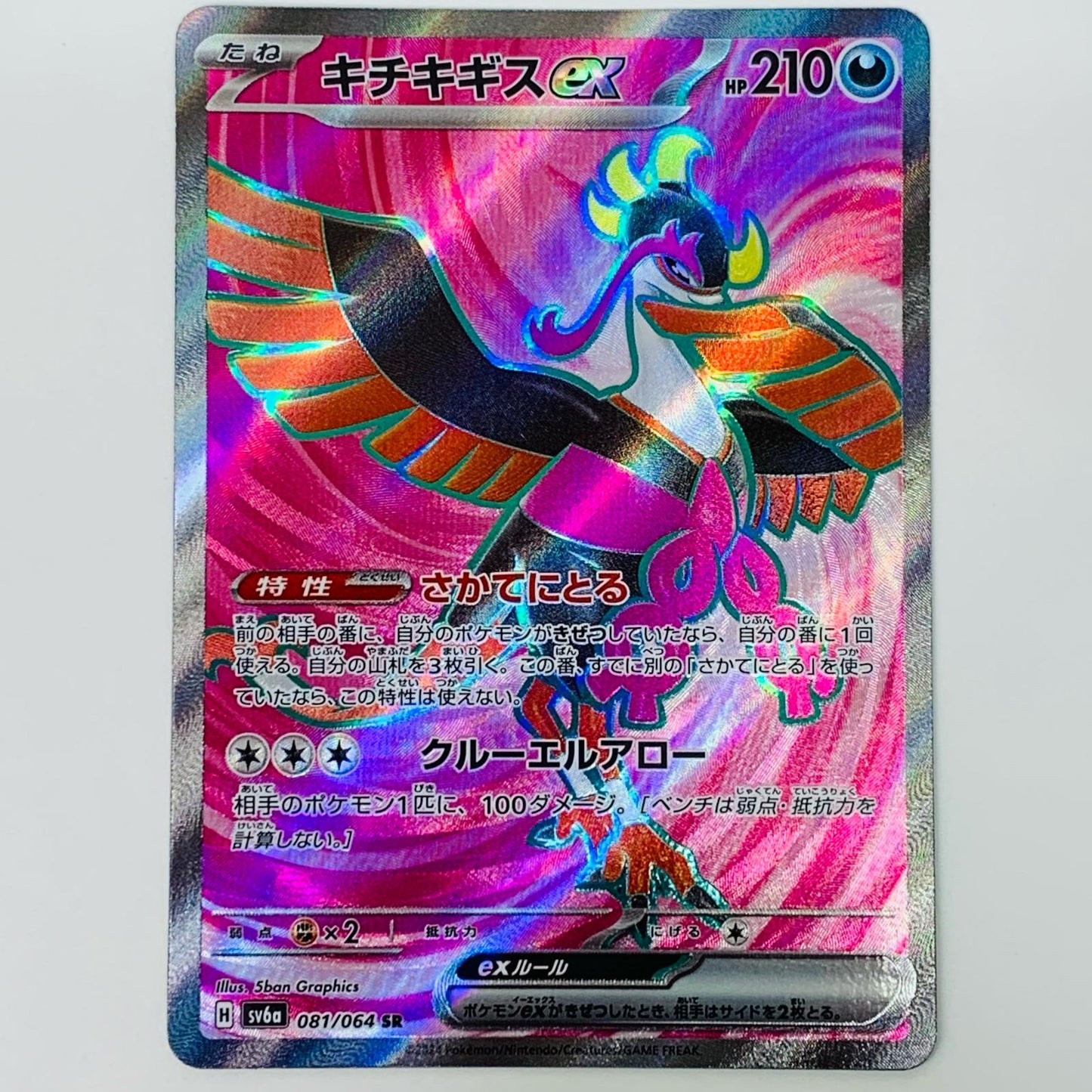 【中古】 キチキギスex SR SV6a-081