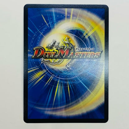 Holy Spirit Super King H. Arcadias DMR DM24-RP2-DM1