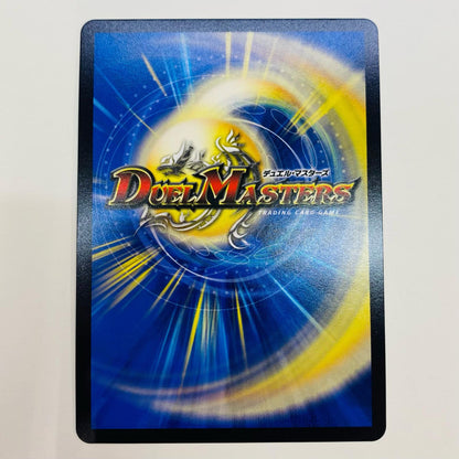 [Used] Brand-MAX SR DM24-RP2-SP3