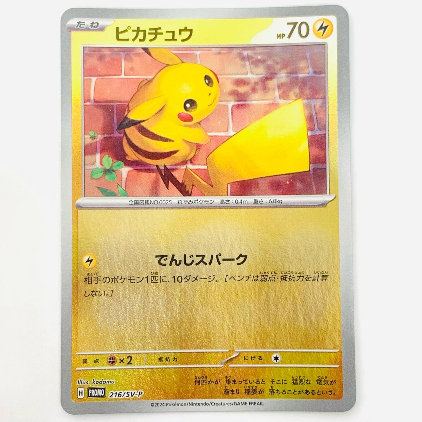ピカチュウ - 216/SV-P
