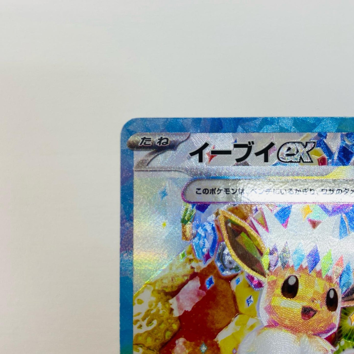 Used: Eevee ex SAR 224/187