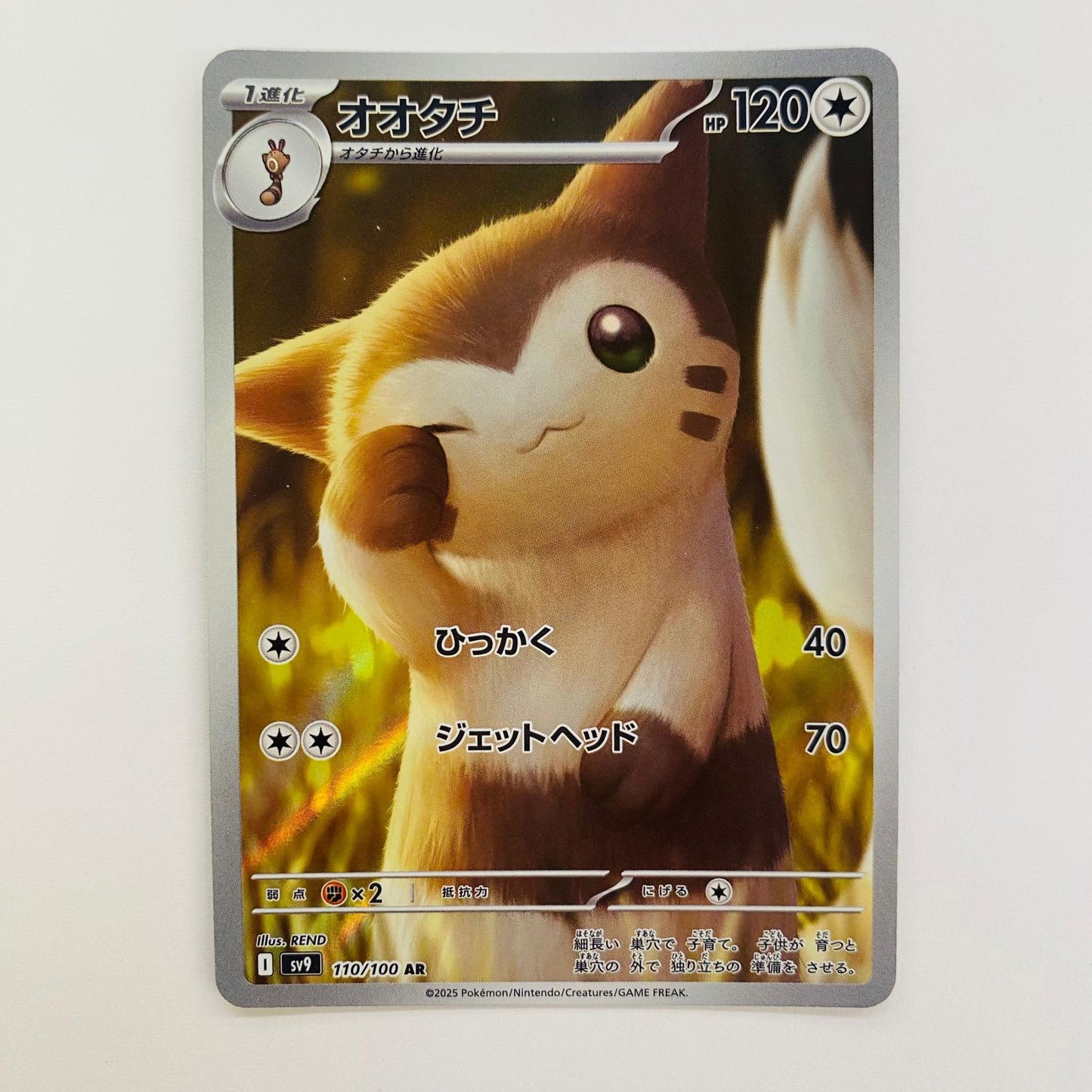【中古】 ポケモンカードゲーム 110/100 AR オオタチ AR 110/100 SV9 拡張パック「バトルパートナーズ」【飾磨店】【代金引換不可・日時指定不可】【ポスト投函】