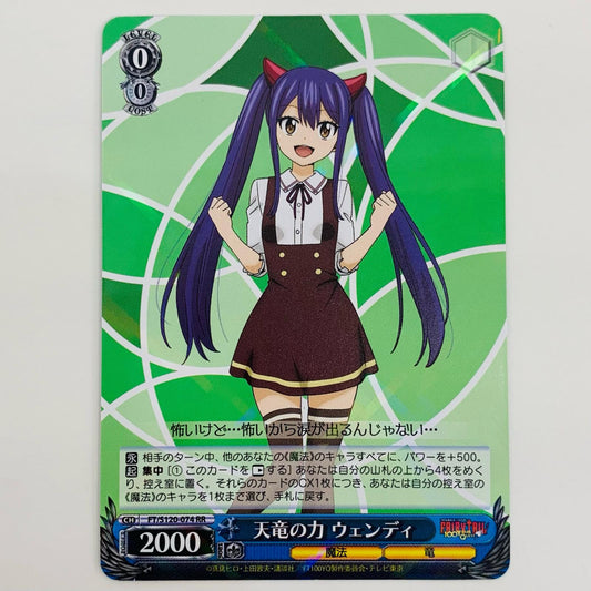 【中古】 天竜の力 ウェンディ RR FT-S120-074