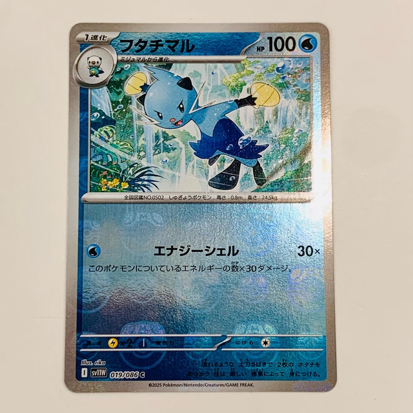 【中古】 フタチマル ミラー(マスターボール) C SV11W-019 ポケモンカードゲーム トレーディングカード フタチマル SV11W ホワイトフレア SV11W-019【飾磨店】