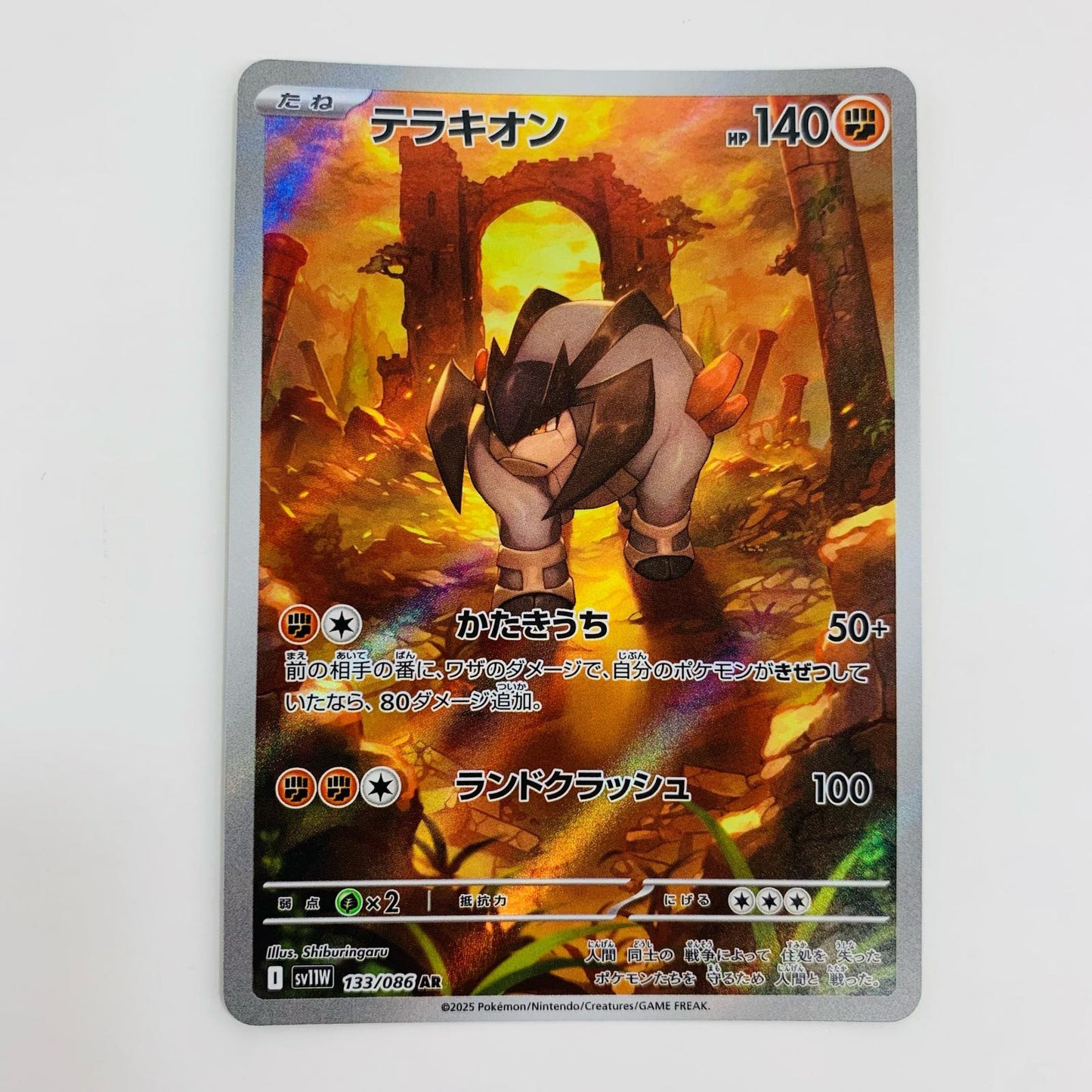 【中古】 テラキオン AR SV11W-133