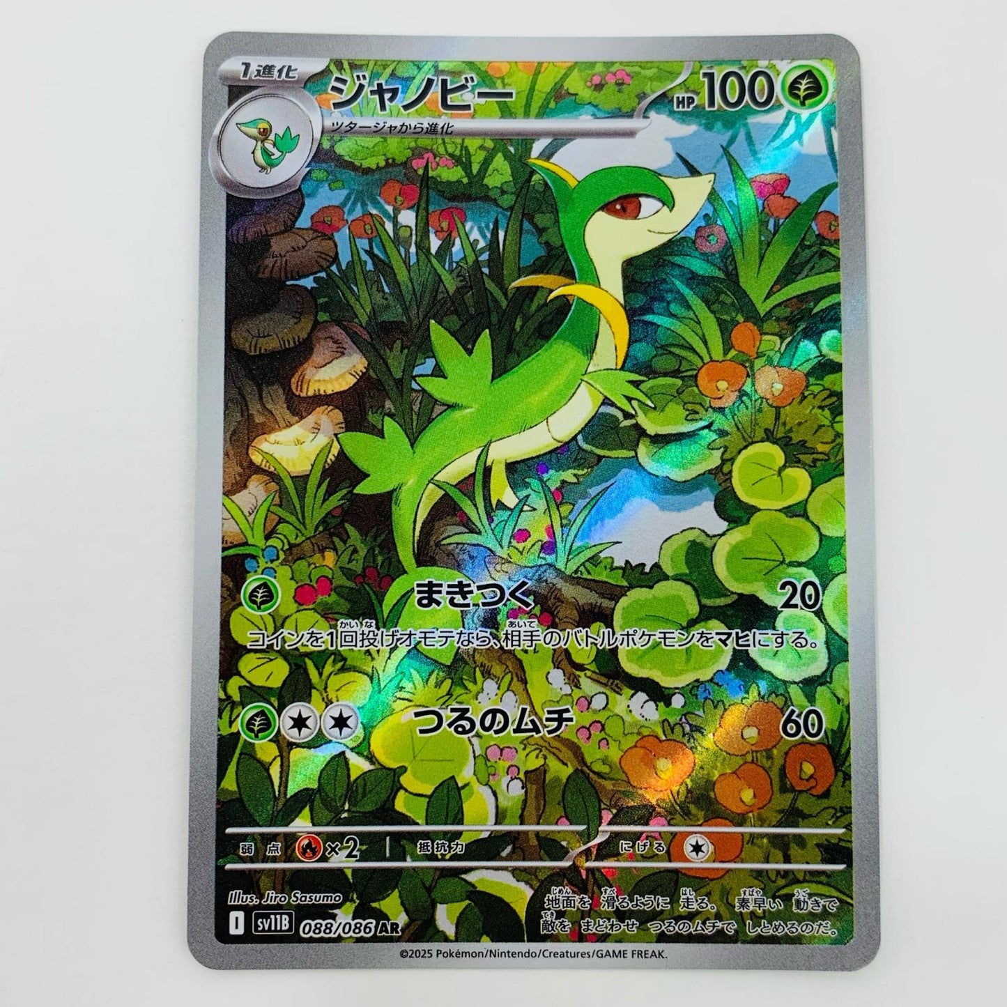 【中古】 ジャノビー AR SV11B-088