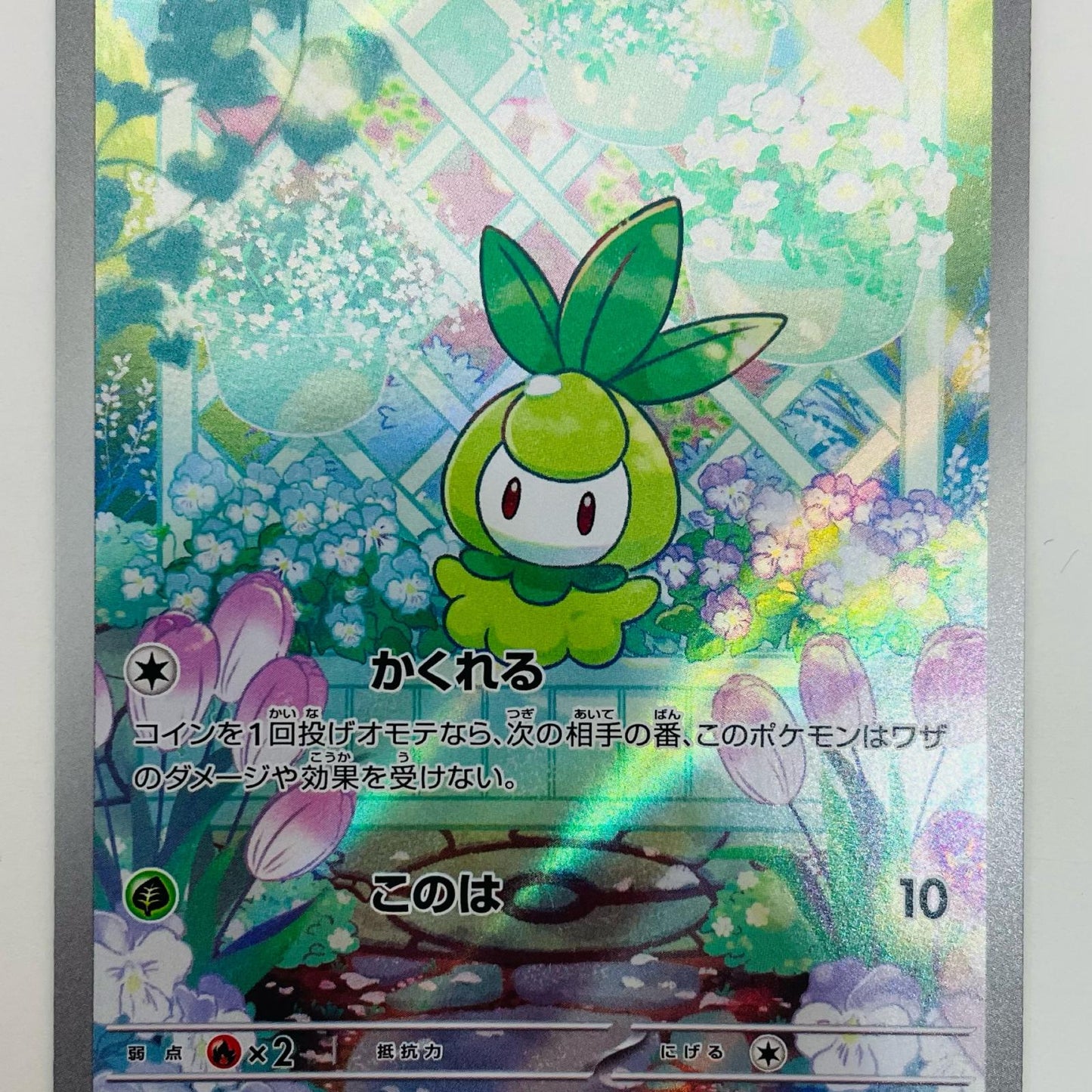 【中古】 チュリネ AR SV11B-091