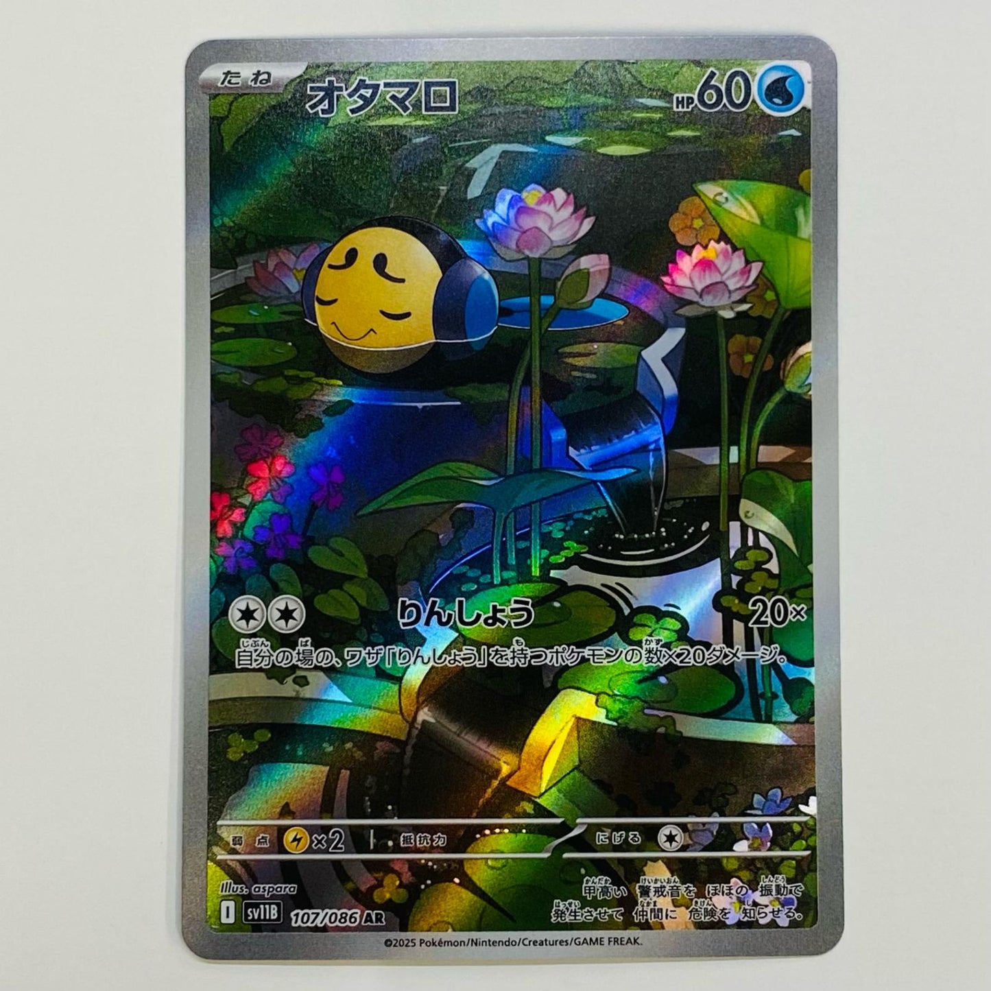 【中古】 オタマロ AR SV11B-107