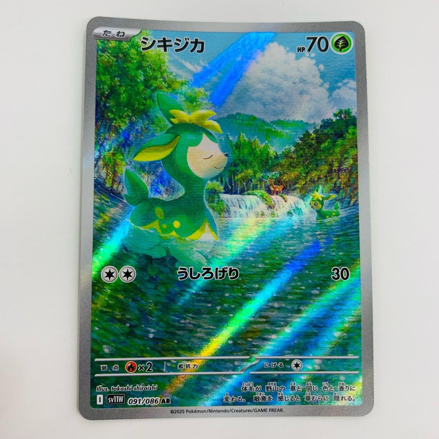 【中古】 シキジカ AR SV11W-091