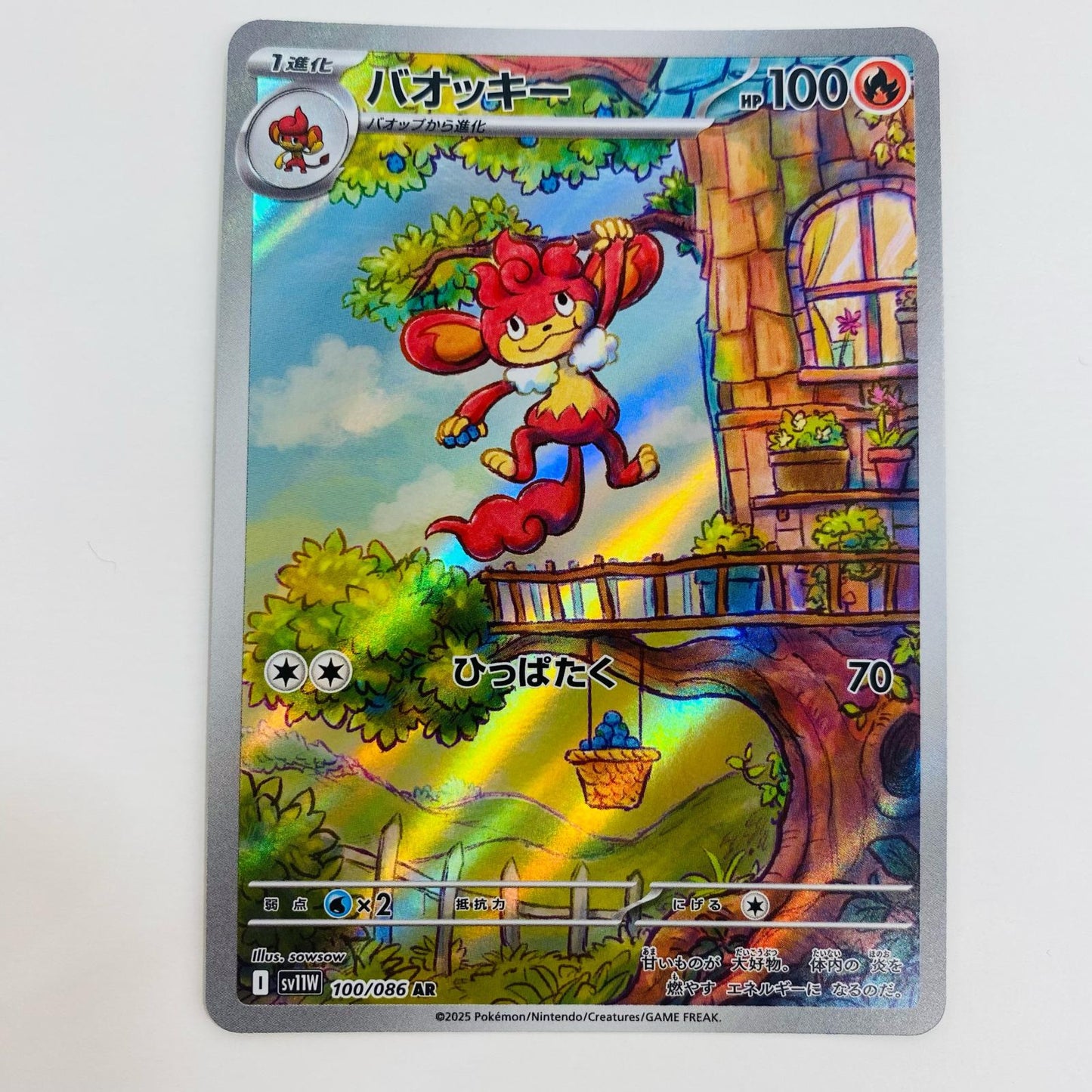 【中古】 バオッキー AR SV11W-100