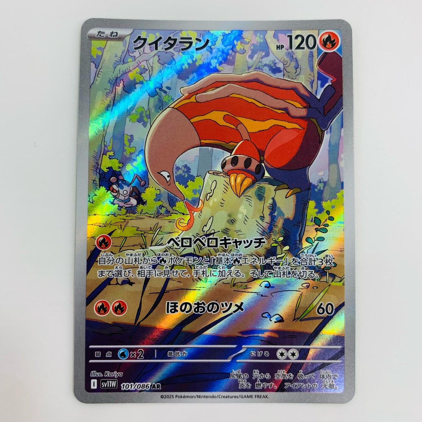 【中古】 クイタラン AR SV11W-101