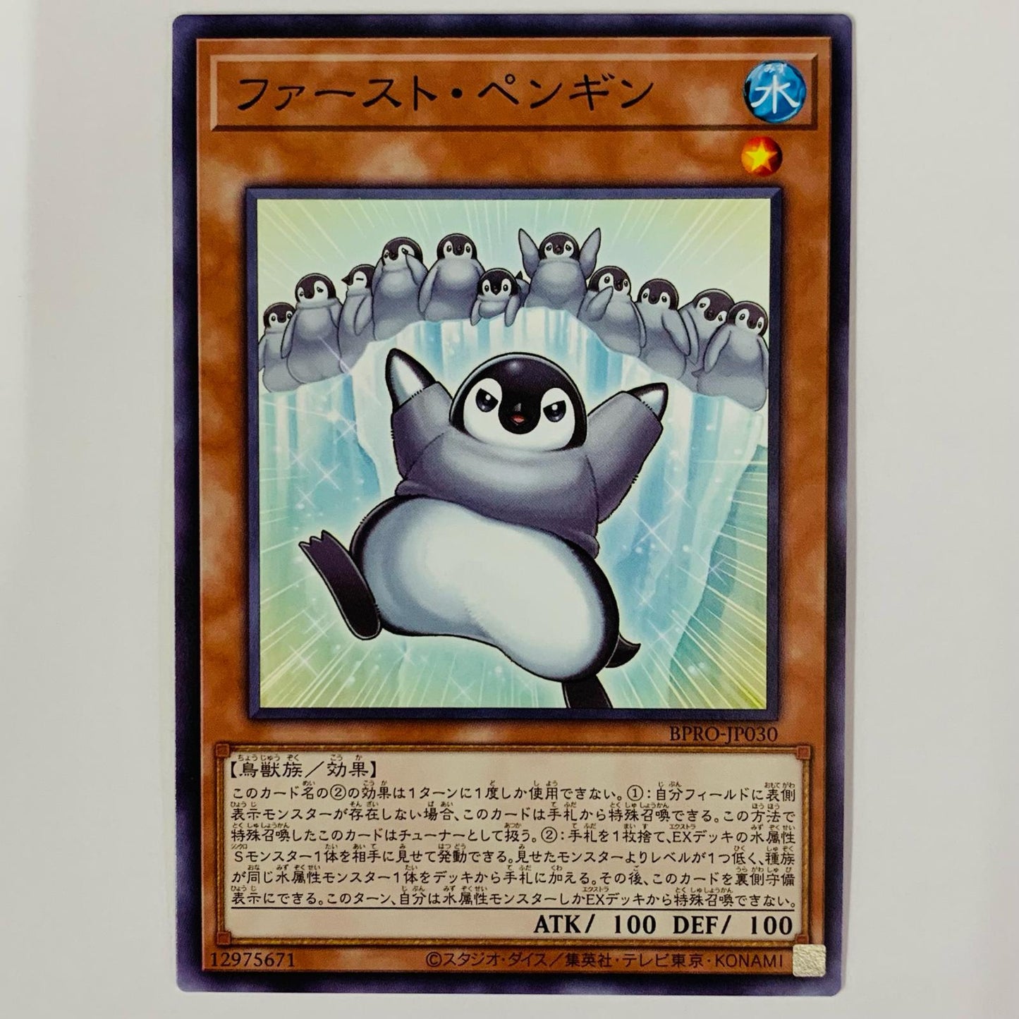 First Penguin NR BPRO-JP030