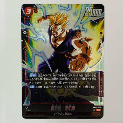 [Used] Gohan (Teen) SR FB08-012