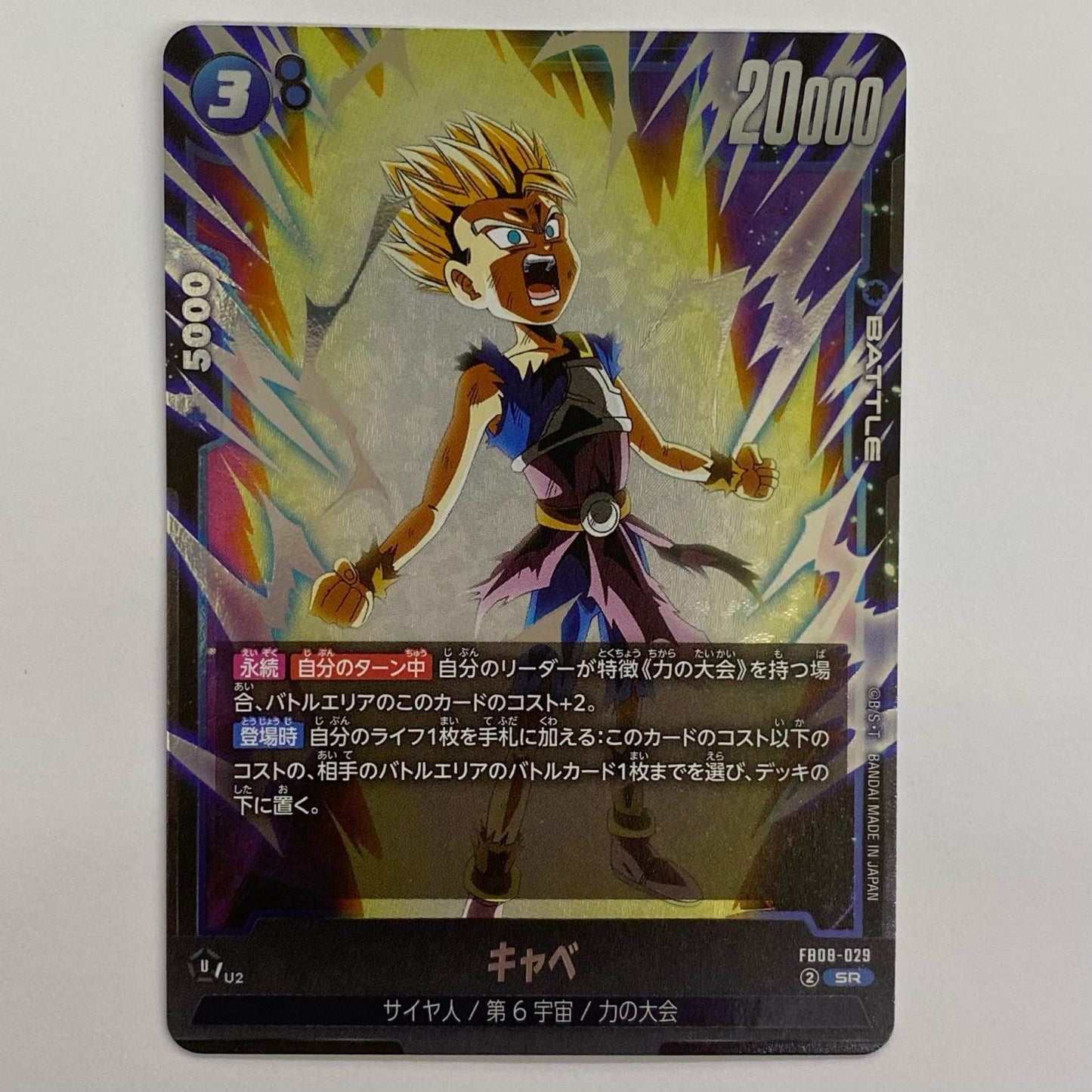 [Used] Cabbage SR FB08-029