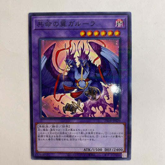 遊戯王 25DB-JP029 ノーマルパラ 共命の翼ガルーラ P 25DB-JP029【飾磨店】