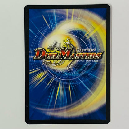 Hisoryu 5000VT VIC STR1/STR5