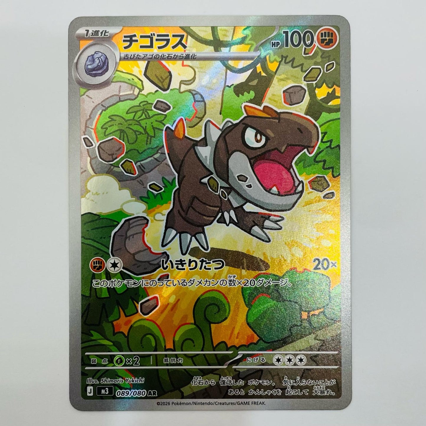 Used: Tyrunt AR 089/080