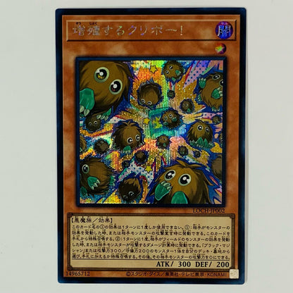 Multiplying Koopa! SEC LOCH-JP002