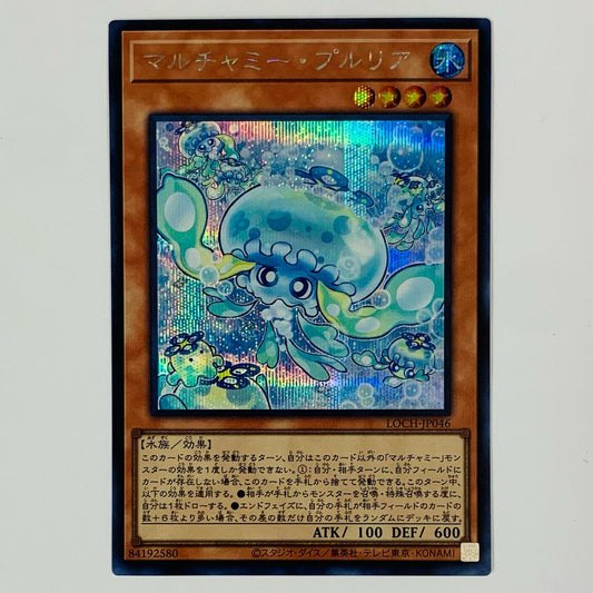 マルチャミー・プルリア SEC LOCH-JP046