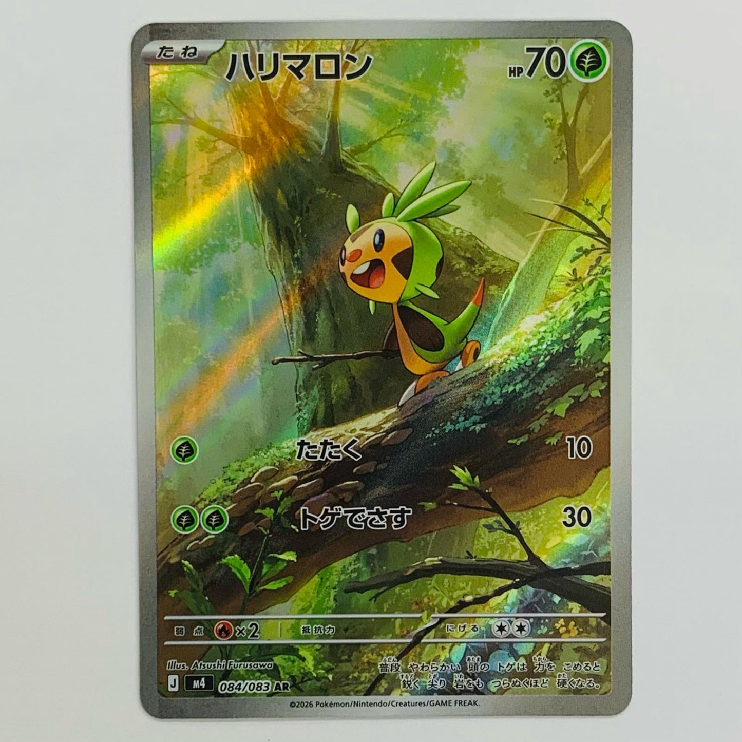 Chespin AR 084/083