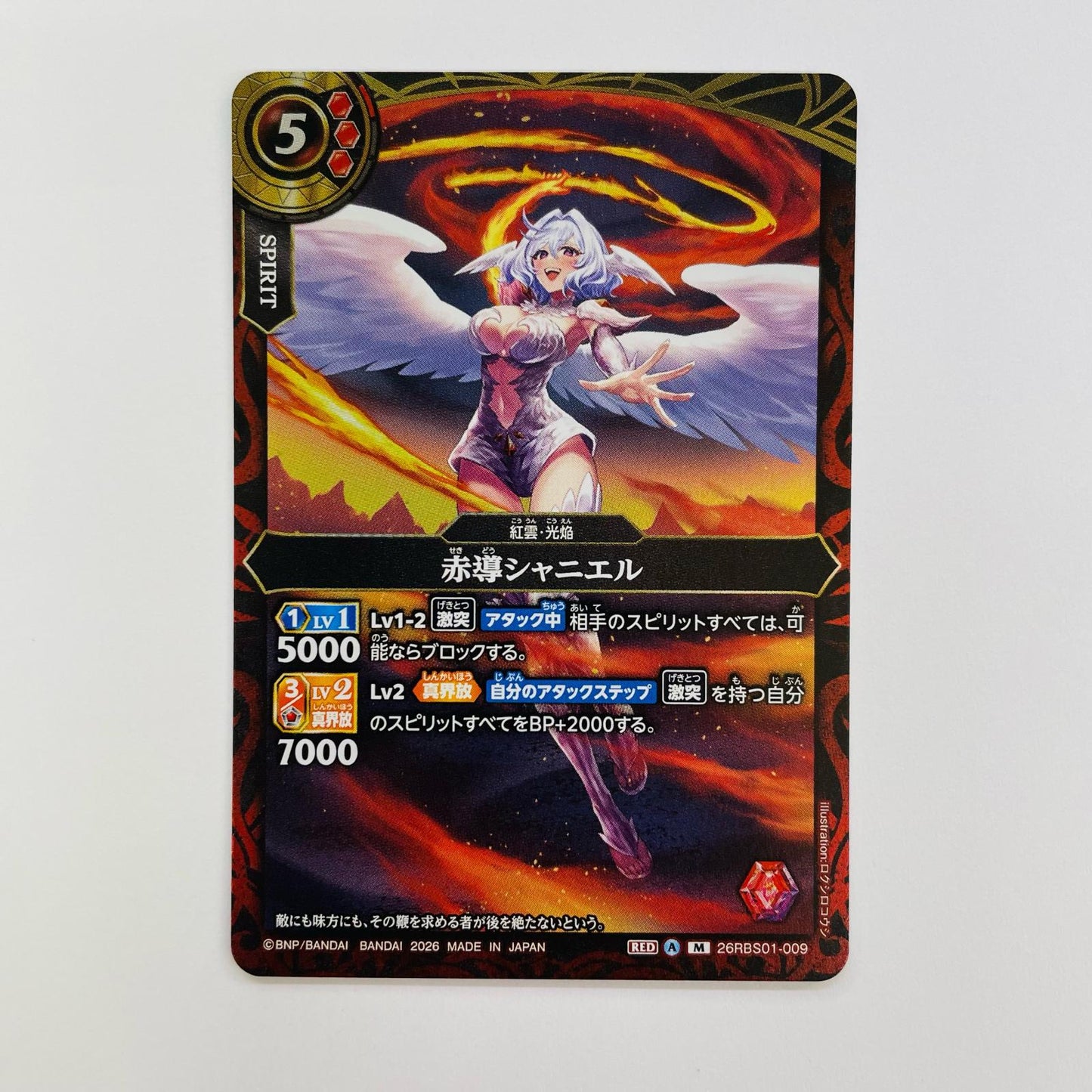 赤導シャニエル M 26RBS01-009