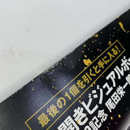 Ichiban Kuji WT100 Commemoration: Grand Pirates 100 Landscapes Last One Prize