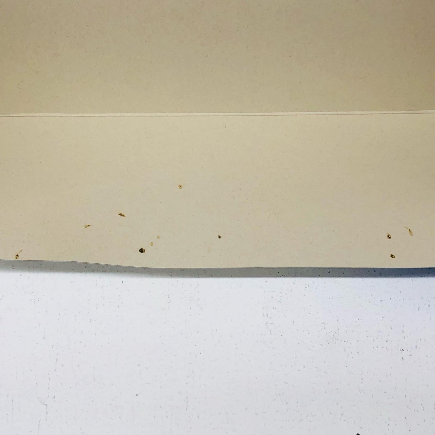 1/144RGZGMF-X20Aストライクフリーダムガンダムチタニウムフィニッシュ「機動戦士ガンダムSEEDDESTINY」プレミアムバンダイ限定[5061039]