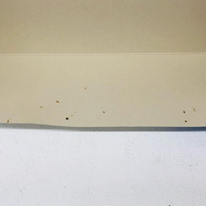 1/144RGZGMF-X20Aストライクフリーダムガンダムチタニウムフィニッシュ「機動戦士ガンダムSEEDDESTINY」プレミアムバンダイ限定[5061039]