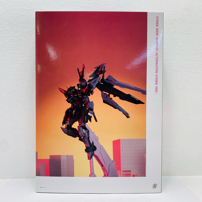 METALBUILDストライクノワールオルタナティブストライクVer.「機動戦士ガンダムSEEDC.E.73-STARGAZER-」魂ウェブ商店限定【フィギュア】