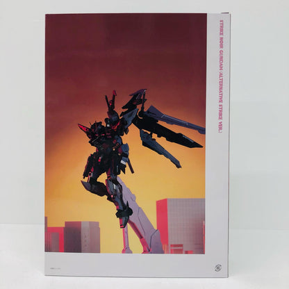 METALBUILDストライクノワールオルタナティブストライクVer.「機動戦士ガンダムSEEDC.E.73-STARGAZER-」魂ウェブ商店限定