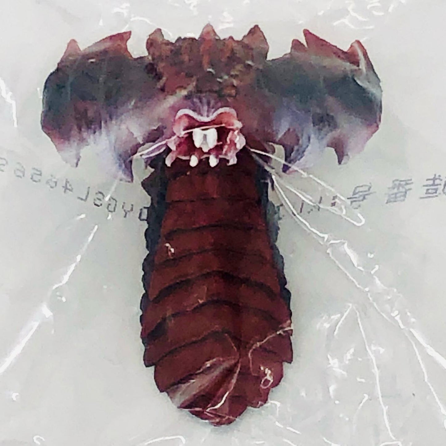 その他ホビー E賞 モンスターヘッドマグネット デストロイア E賞 モンスターヘッドマグネット デストロイア 一番くじ ゴジラ 怪獣乱舞 -荒ぶるモノ- E賞【飾磨店】