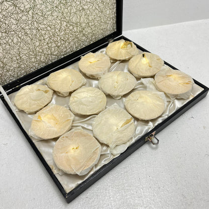 十二支金盃 食器 12枚セット【加古川物流】