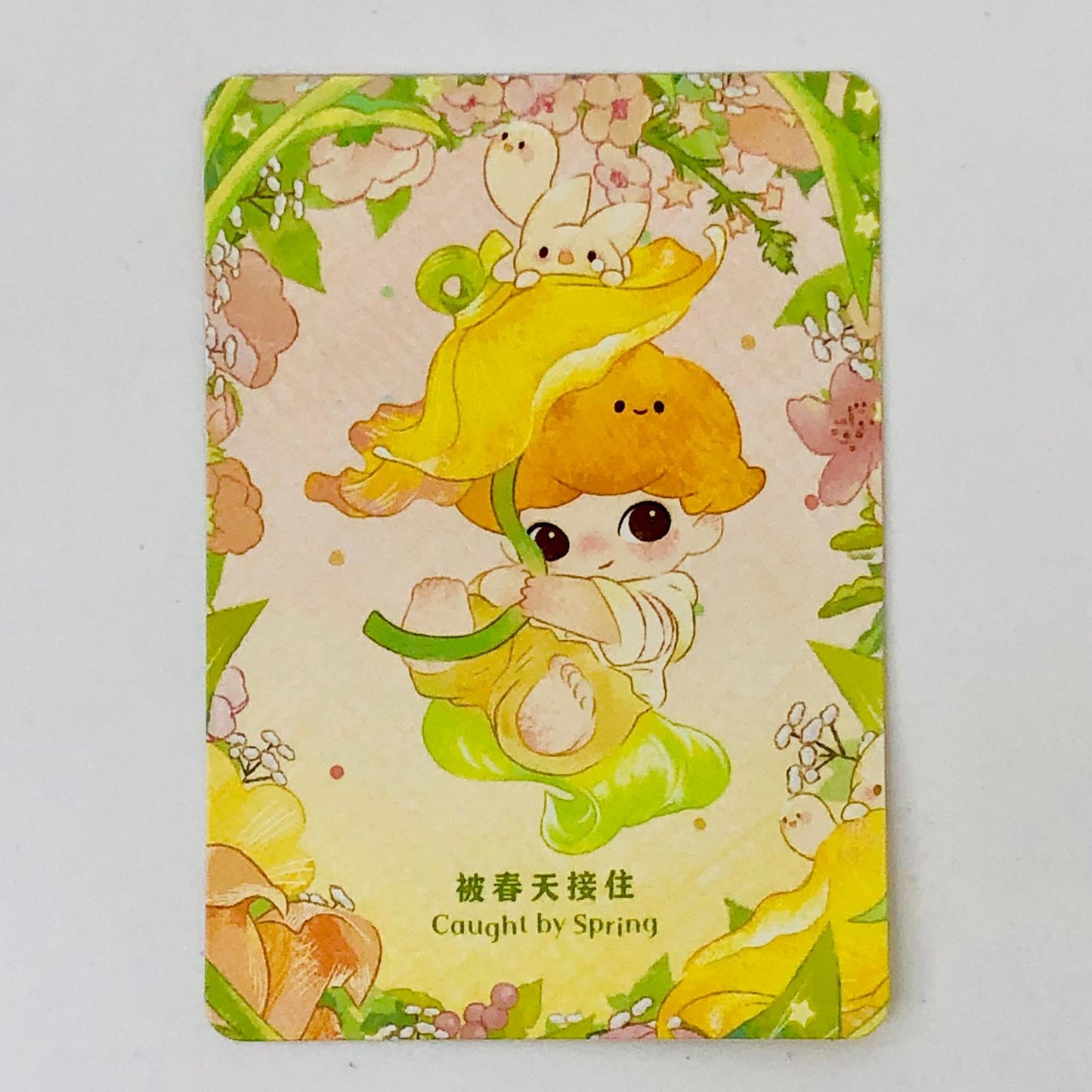 フィギュア Caught by Spring 「POPMART DIMOO Moments in Bloom シリーズ」 Caught by Spring DIMOO Moments in Bloom シリーズ【フィギュア】【加古川物流】