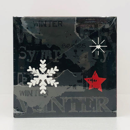 ぬいぐるみ POPMART SKULLPANDA Winter Symphony シリーズ ぬいぐるみペンダント」アソートBOX BOX SKULLPANDA Winter Symphony シリーズ ぬいぐるみ【加古川物流】