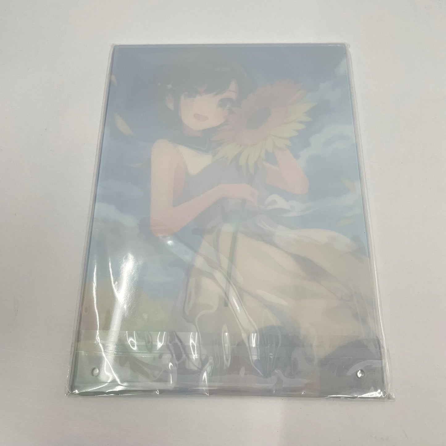 その他ホビー ホロライブ 大空スバル 誕生日記念グッズ 2020 セット【瀬戸大橋店】