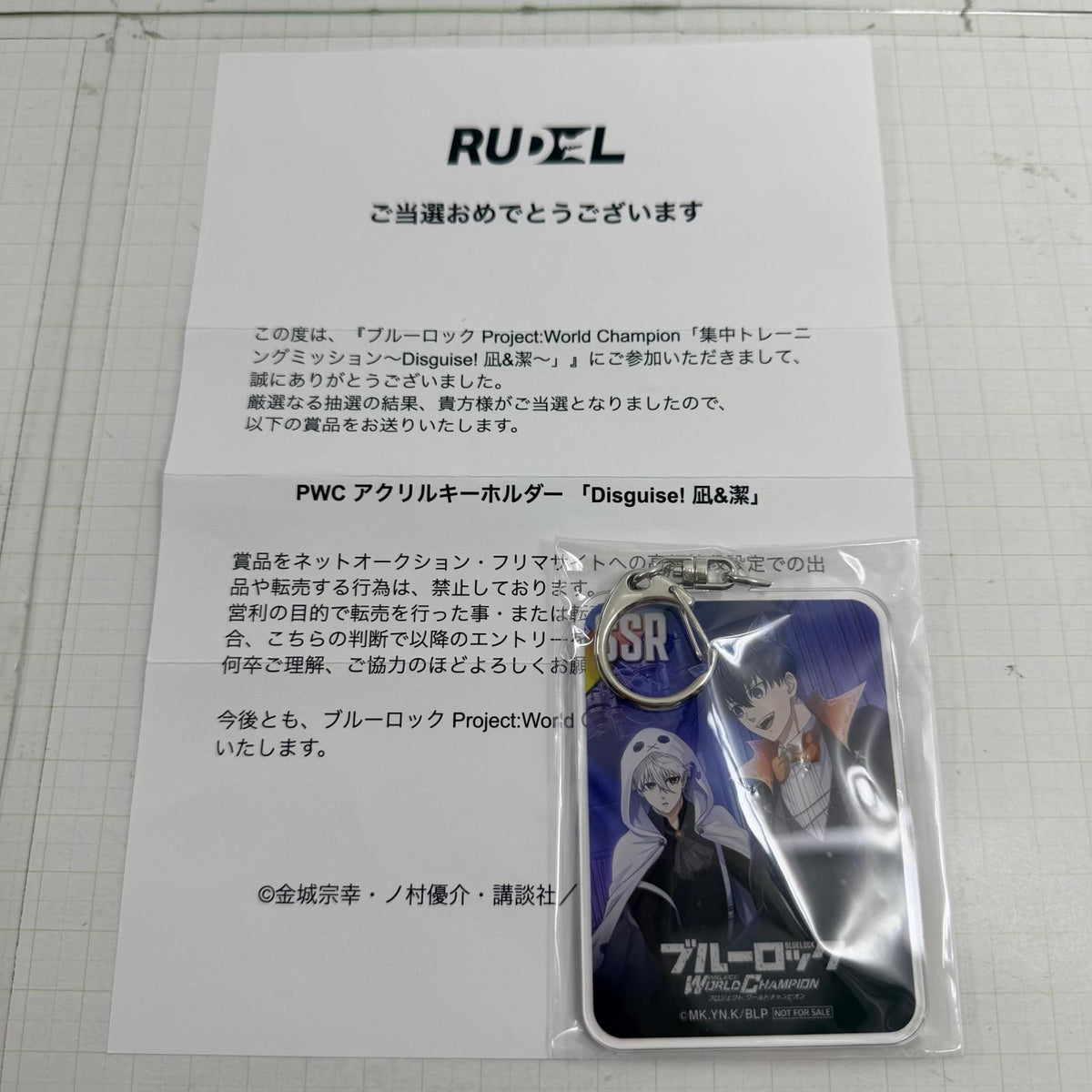 その他ホビー 未開封 ブルーロック PWC アクリルキーホルダー Disguise 凪誠士郎 潔世一 【741-7369】【瀬戸大橋店】