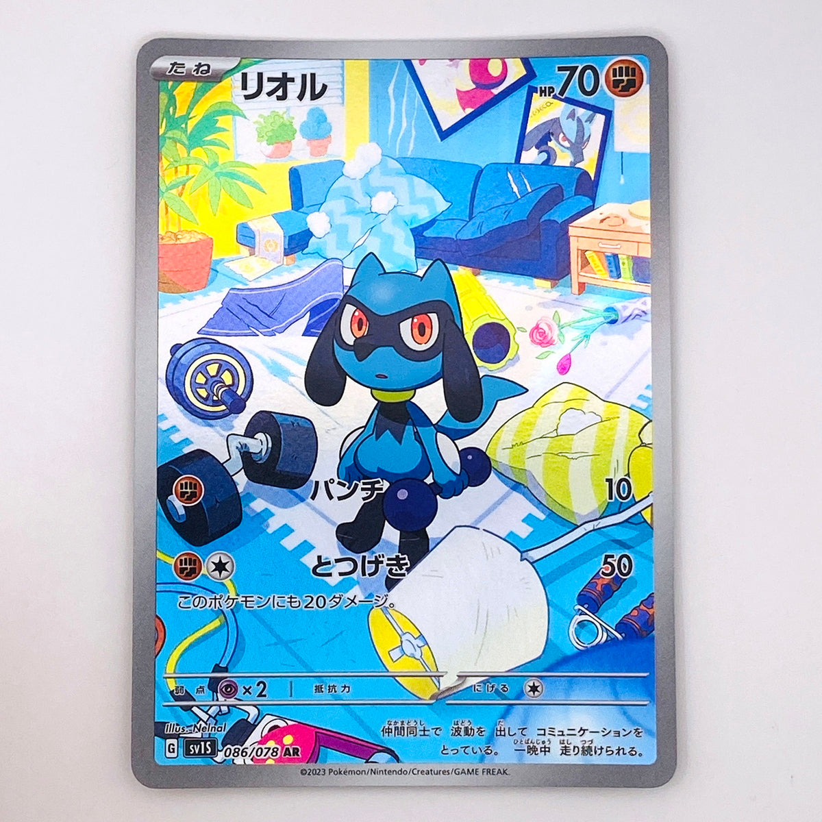 【倉吉店】