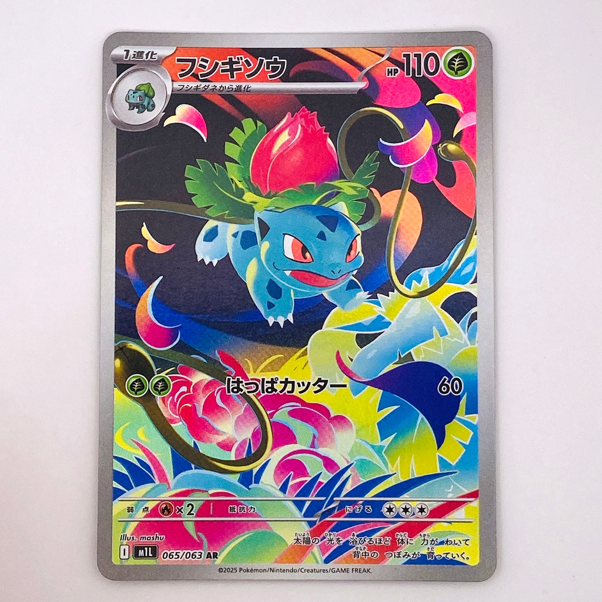 フシギソウ ARフシギソウ AR M1L 065/063serial:M1L 065/063【倉吉店】