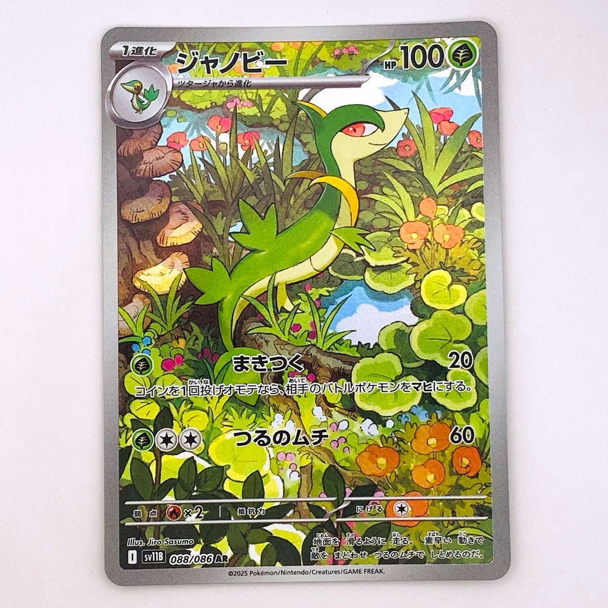 【倉吉店】