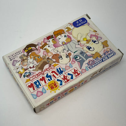 【尾張小牧店】GBA　ぷくぷく天然かいらんばん～恋のキューピット大作戦～　ハガキ・特典付き【ポスト投函】【代引き不可】【レトロ】【中古】